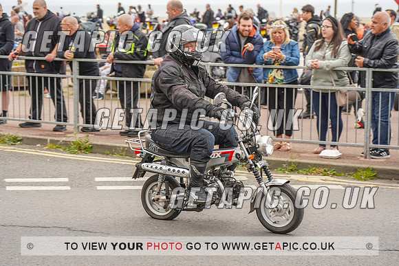 RS2205_13087