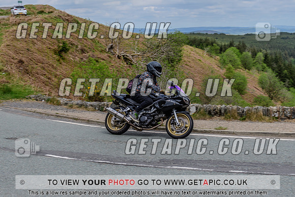 SP2505-515
