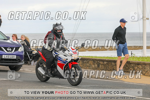 GP2405-10197-C