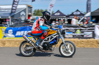GP2508-3289