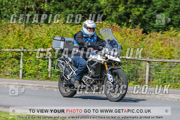 GP2508-7631-L