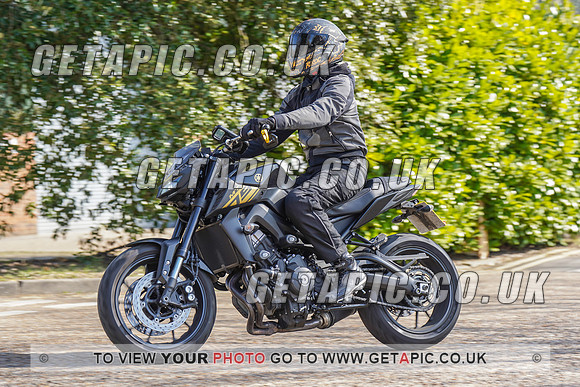 RS2203_6081