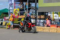 GP2508-3299
