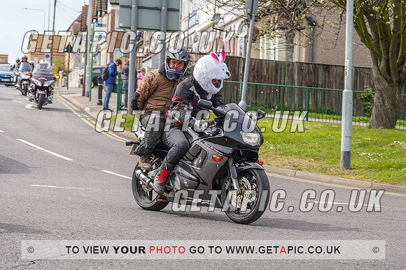RS2204_9451