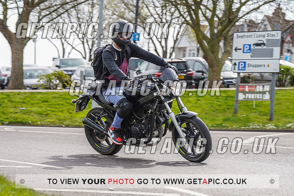 RS2204_10285
