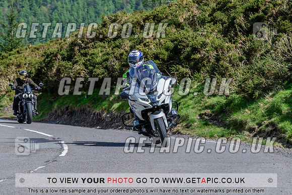 SP2504-2388