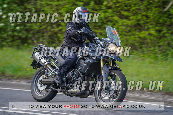 RS2204_11561