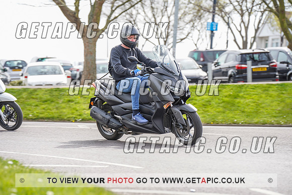 RS2204_10311