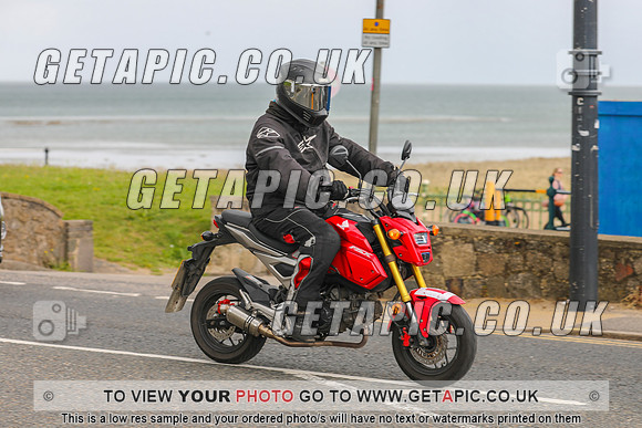 GP2405-10094-C