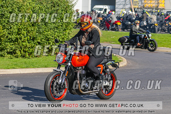 GP2509-1390