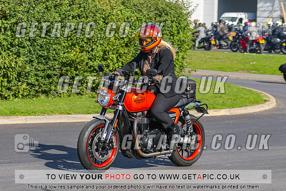 GP2509-1392