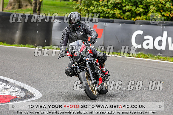 PR2509-4120