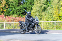 GP2510-6697-B