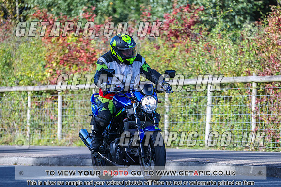 GP2510-6739-B
