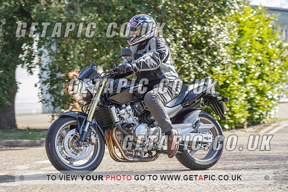 RS2203_6034