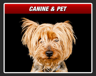 CANINE & PET
