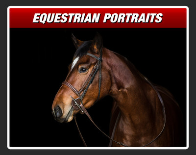 EQUESTRIAN PORT