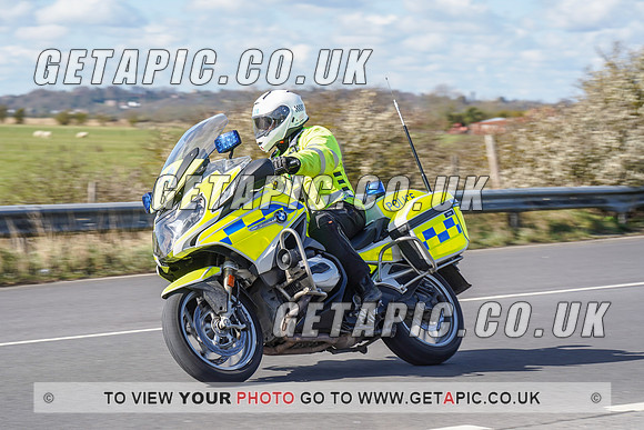 RS2204_1003