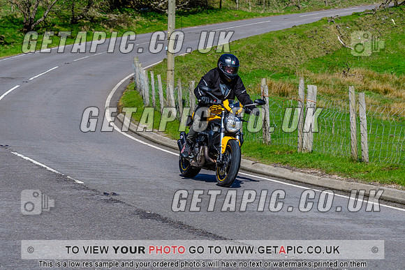 SP2604-738