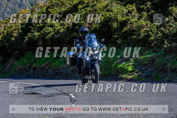 SP2604-782