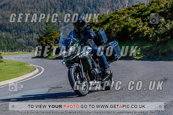 SP2604-785