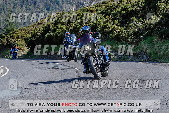 SP2604-803