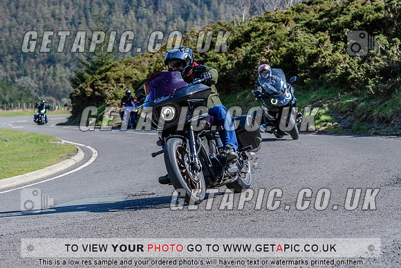 SP2604-804