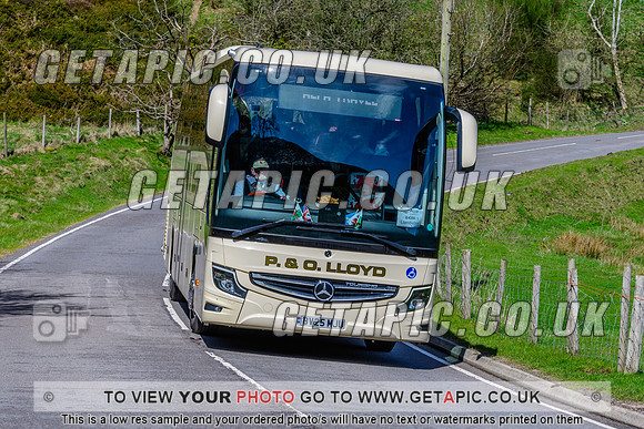 SP2604-833