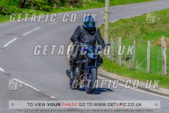 SP2604-845