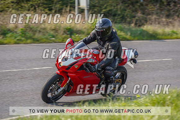 RS2203_4566