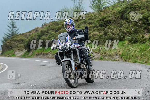 SP2604-3019