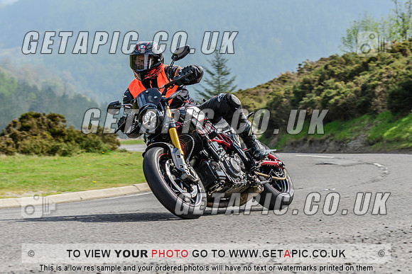 SP2604-3524
