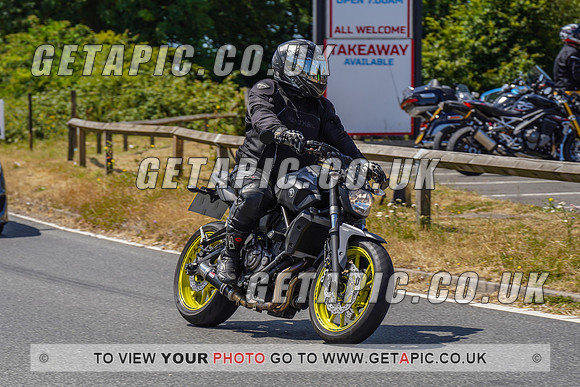 RS2207_9917