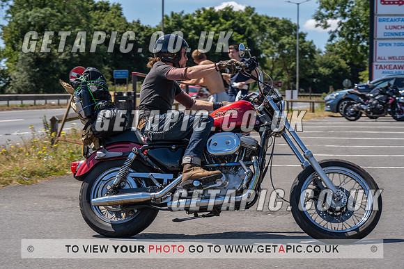 RS2207_9877