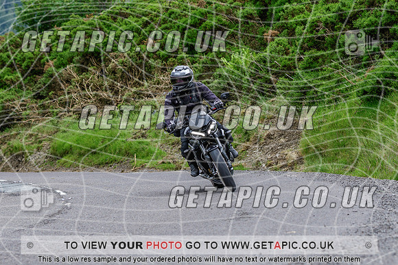 SP2606-731