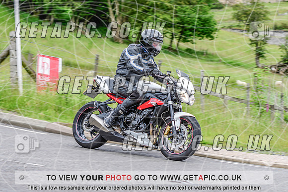 SP2606-979