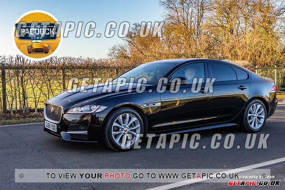SP2302-1021_WITH_LOGO_ON_PHOTO
