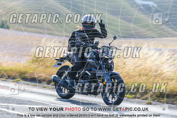 PP2607-1604-C