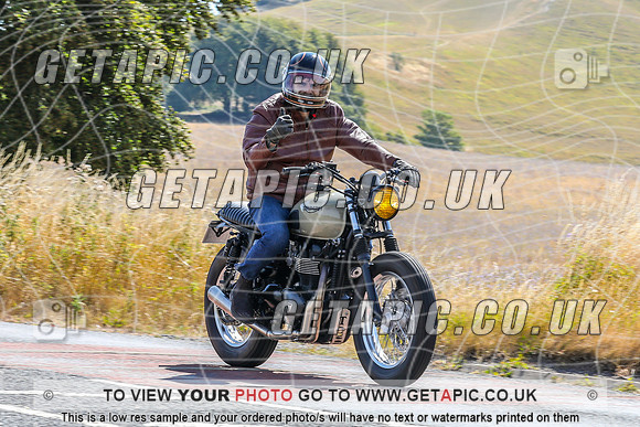 PP2607-2289-C