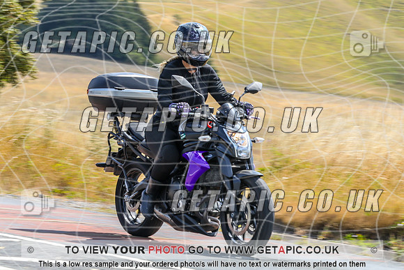 PP2607-2699-C
