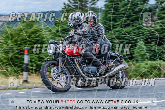 SP2608-4374