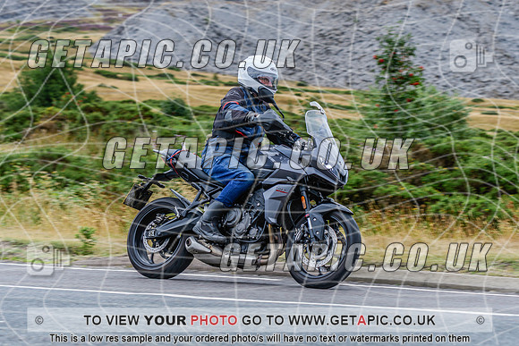 SP2608-4397