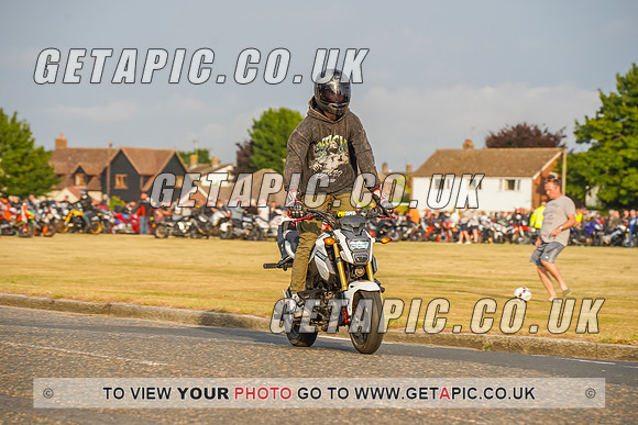 RS2207_8720