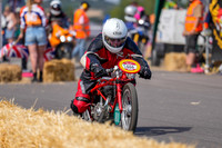 D666 - SPRINT 2026 by MW