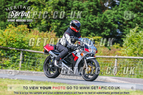 GP2508-8161-L_LOGO_ON_PHOTO