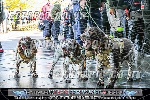 TW2609-2365_LOGO_ON_PHOTO