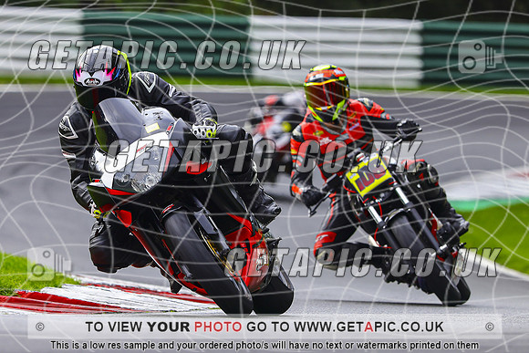 PH2610-019-C