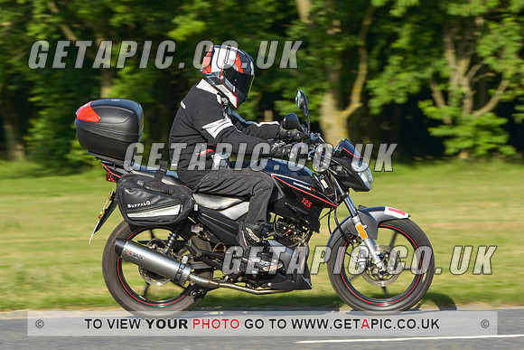 JAK2206-52001