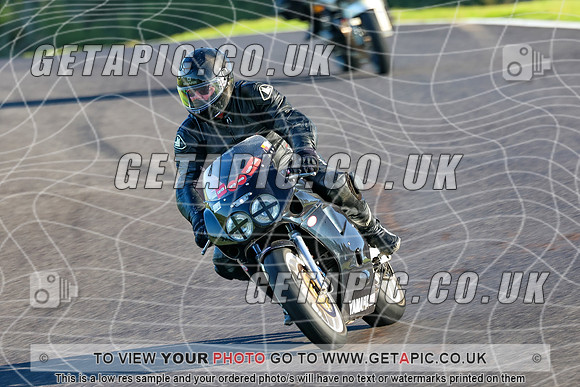 PRR30675-C