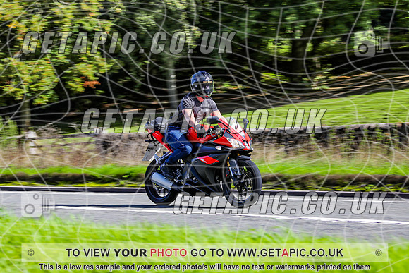 TW2609-3153